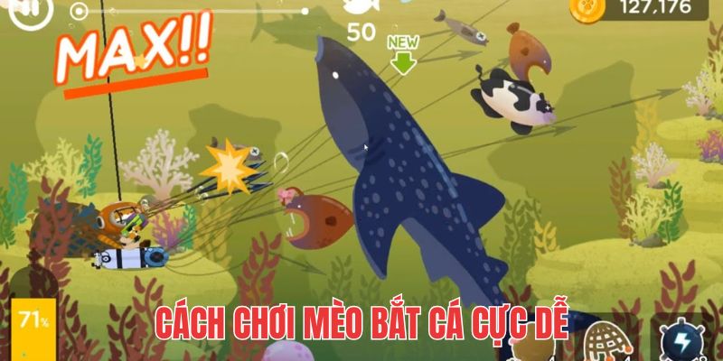 Trình tự tham gia một ván cược cực dễ cho người mới bắt đầu